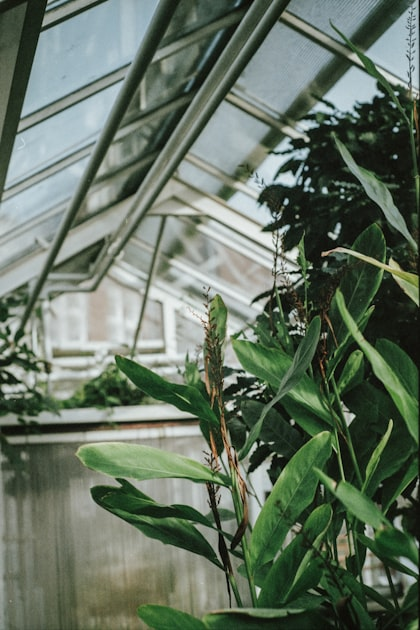 Choosing the Right Greenhouse Materials