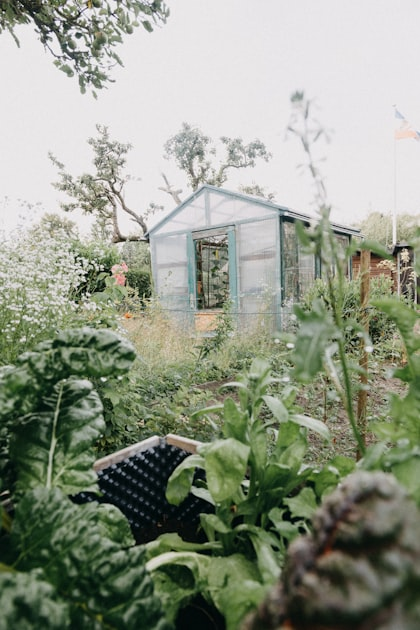 Understanding Greenhouse Costs